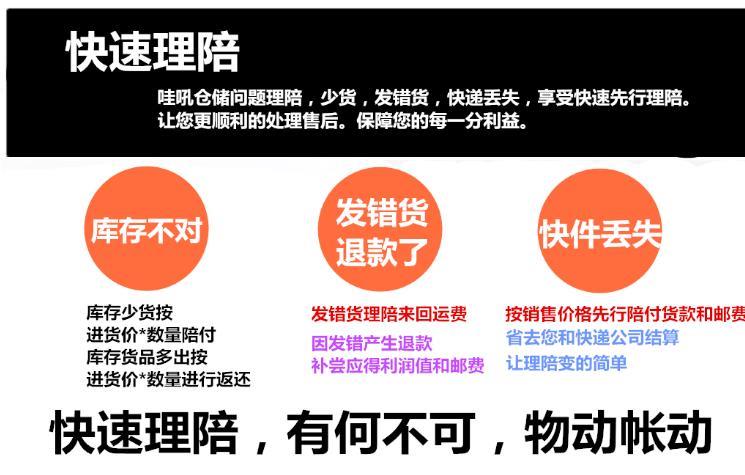 中国人保财险“掌上人保”上线启动